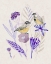 Picture of MEANDER IN VIOLET II
