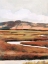 Picture of MOUNTAIN FIELD I