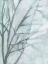 Picture of TREE WITH WHITE SKY II