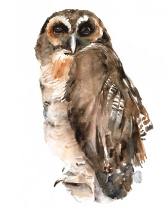 Picture of WATERCOLOR OWL I
