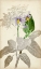 Picture of SILVERY BOTANICALS IX