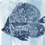 Picture of OCEAN STUDY V