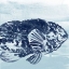 Picture of OCEAN STUDY VII