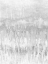 Picture of WHITE COAST I