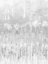 Picture of WHITE COAST II