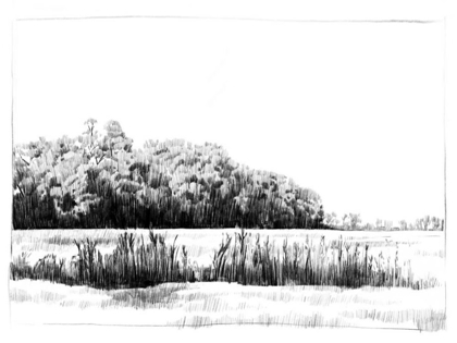 Picture of NORTHERN NECK LANDSCAPE II