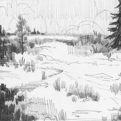 Picture of WILDLAND SKETCH I