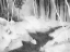 Picture of GRAPHITE GLADE II
