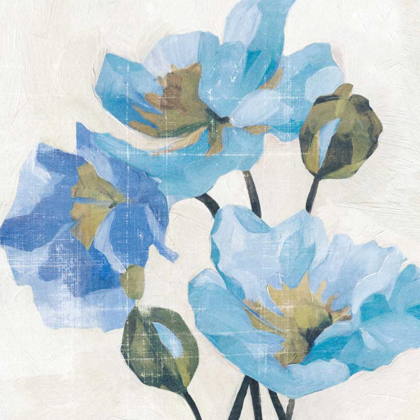 Picture of AZURE PEONY II