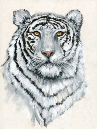 Picture of WHITE TIGER II
