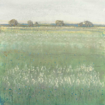 Picture of GREEN MEADOW II