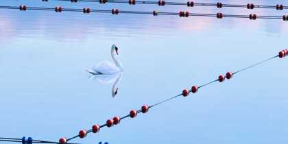 Picture of SWAN AND ROPES