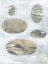 Picture of NEUTRAL RIVER ROCKS IV