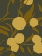 Picture of GOLDEN SATSUMA II