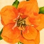Picture of COPPER PETALS I