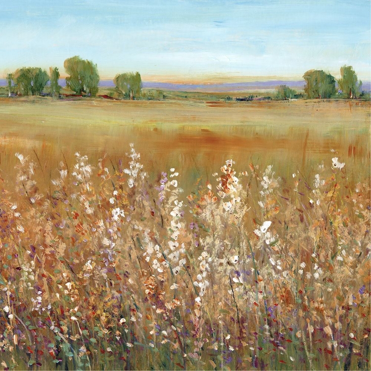 Picture of ABUNDANCE OF WILDFLOWERS II