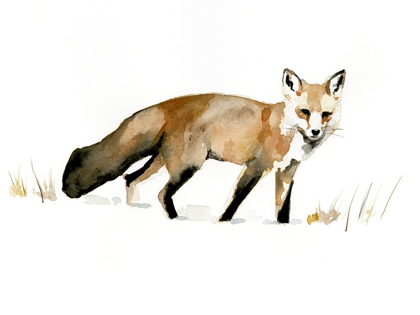 Picture of WINTER FOX I