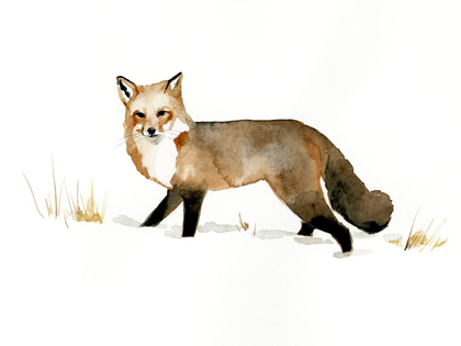 Picture of WINTER FOX II