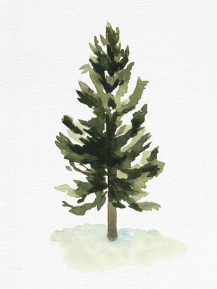 Picture of WATERCOLOR PINE I