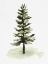 Picture of WATERCOLOR PINE II