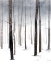 Picture of HAZY WINTER WALK I