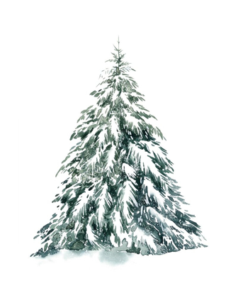 Picture of BLUE SPRUCE I