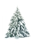 Picture of BLUE SPRUCE I