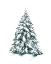 Picture of BLUE SPRUCE II