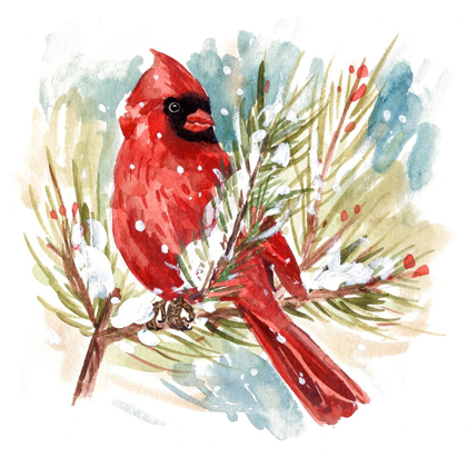 Picture of THE CARDINAL I