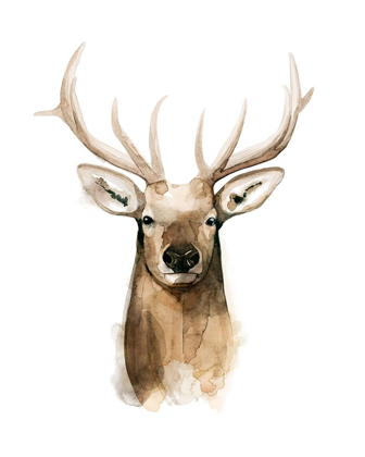 Picture of WATERCOLOR ELK PORTRAIT I