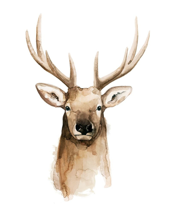 Picture of WATERCOLOR ELK PORTRAIT II