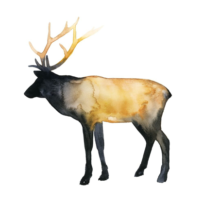 Picture of ELK AGLOW I
