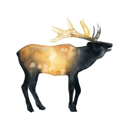 Picture of ELK AGLOW II