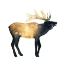 Picture of ELK AGLOW II