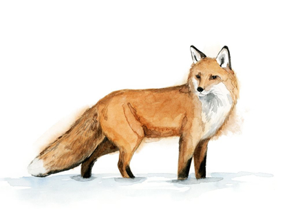 Picture of SNOW FOX I