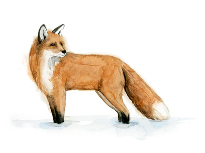Picture of SNOW FOX II