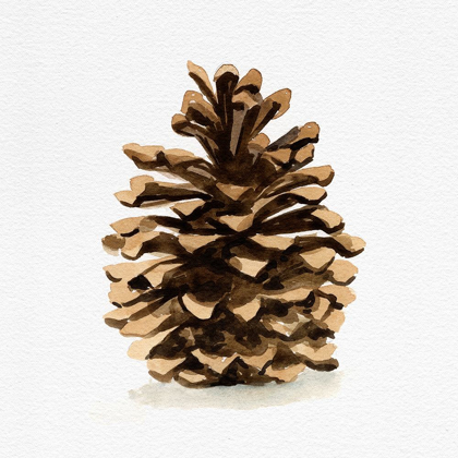 Picture of CONIFER CONE I