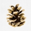 Picture of CONIFER CONE II