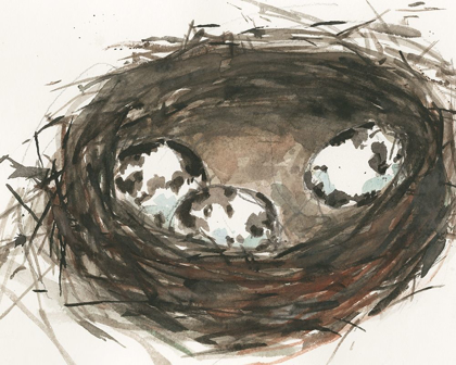 Picture of NESTING EGGS II
