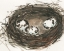 Picture of NESTING EGGS II