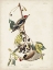 Picture of PL. 190 YELLOW-BELLIED WOODPECKER