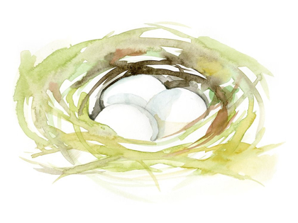 Picture of WATERCOLOR NEST II