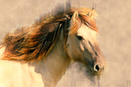 Picture of BLENDED HORSE I