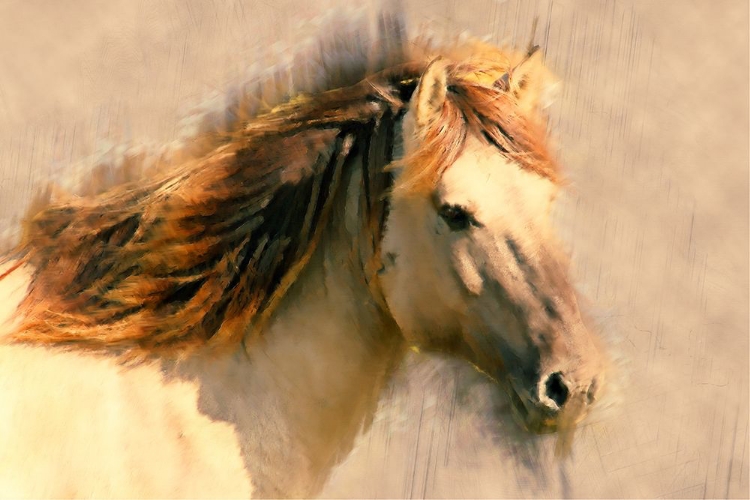 Picture of BLENDED HORSE I