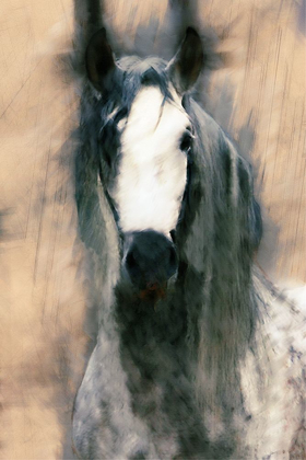 Picture of BLENDED HORSE II