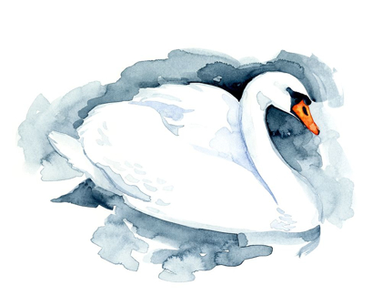 Picture of SILVERLAKE SWAN I