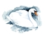 Picture of SILVERLAKE SWAN I