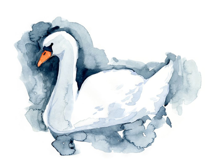 Picture of SILVERLAKE SWAN II