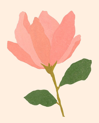 Picture of MAGNOLIEN I
