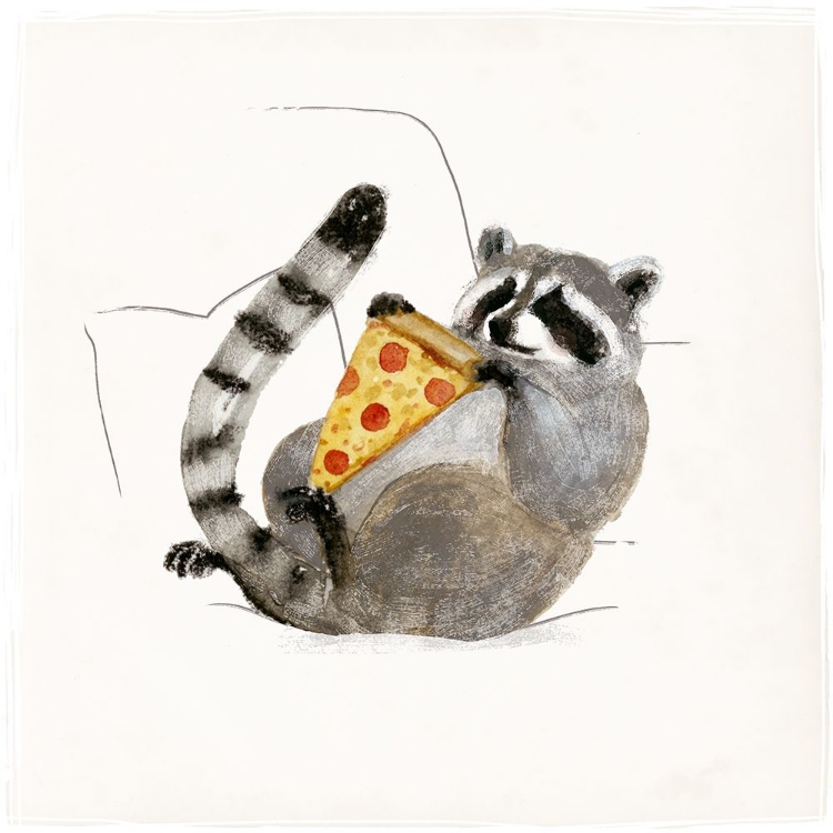 Picture of RASCALLY RACCOON II